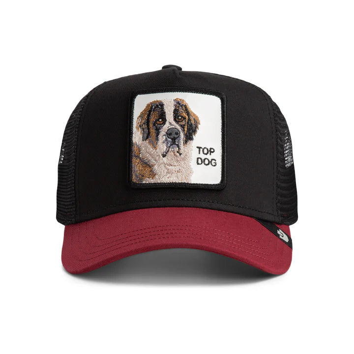 Jockey The Top Dog Goorin Bros