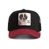 Jockey The Top Dog Goorin Bros
