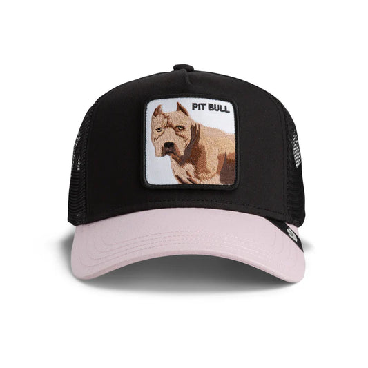 Jockey The Pitbull Goorin Bros