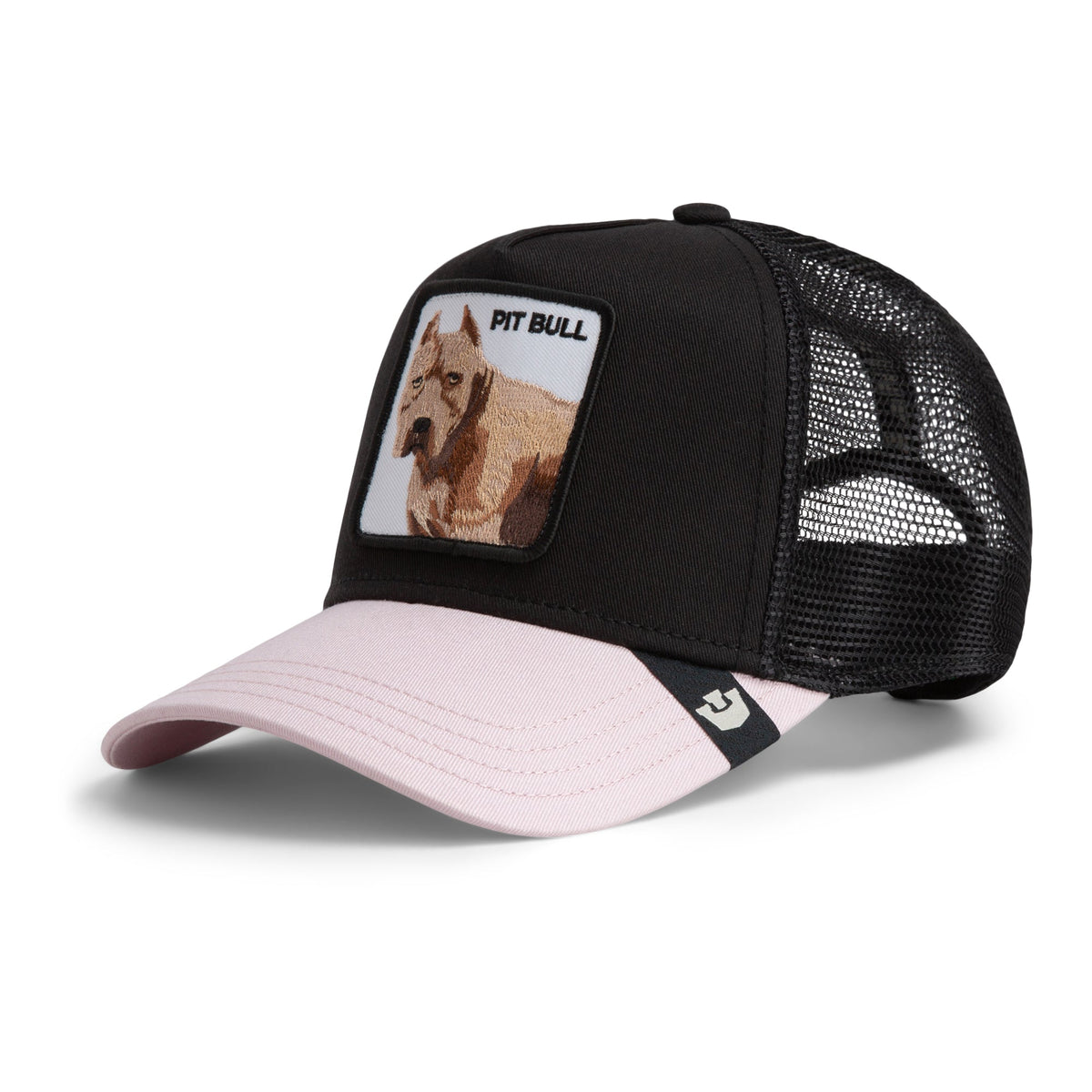 Gorra Goorin Bros The Pitbull Negro