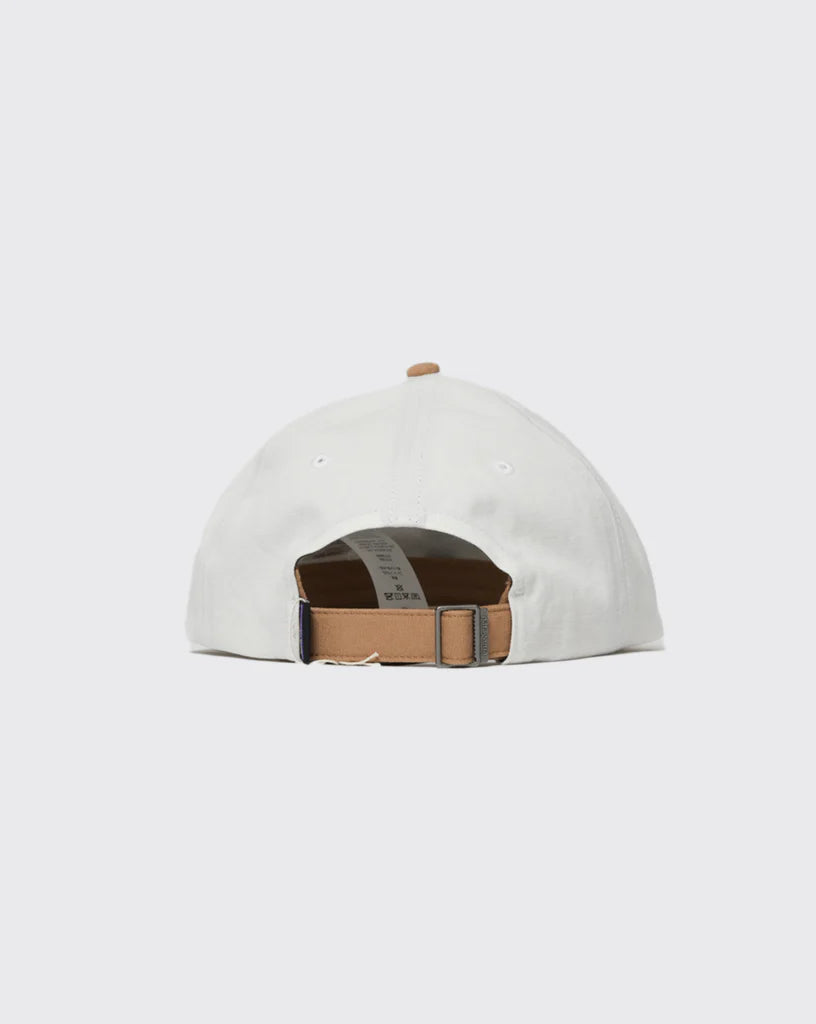 Gorra Patagonia Fitz Roy Icon Trad